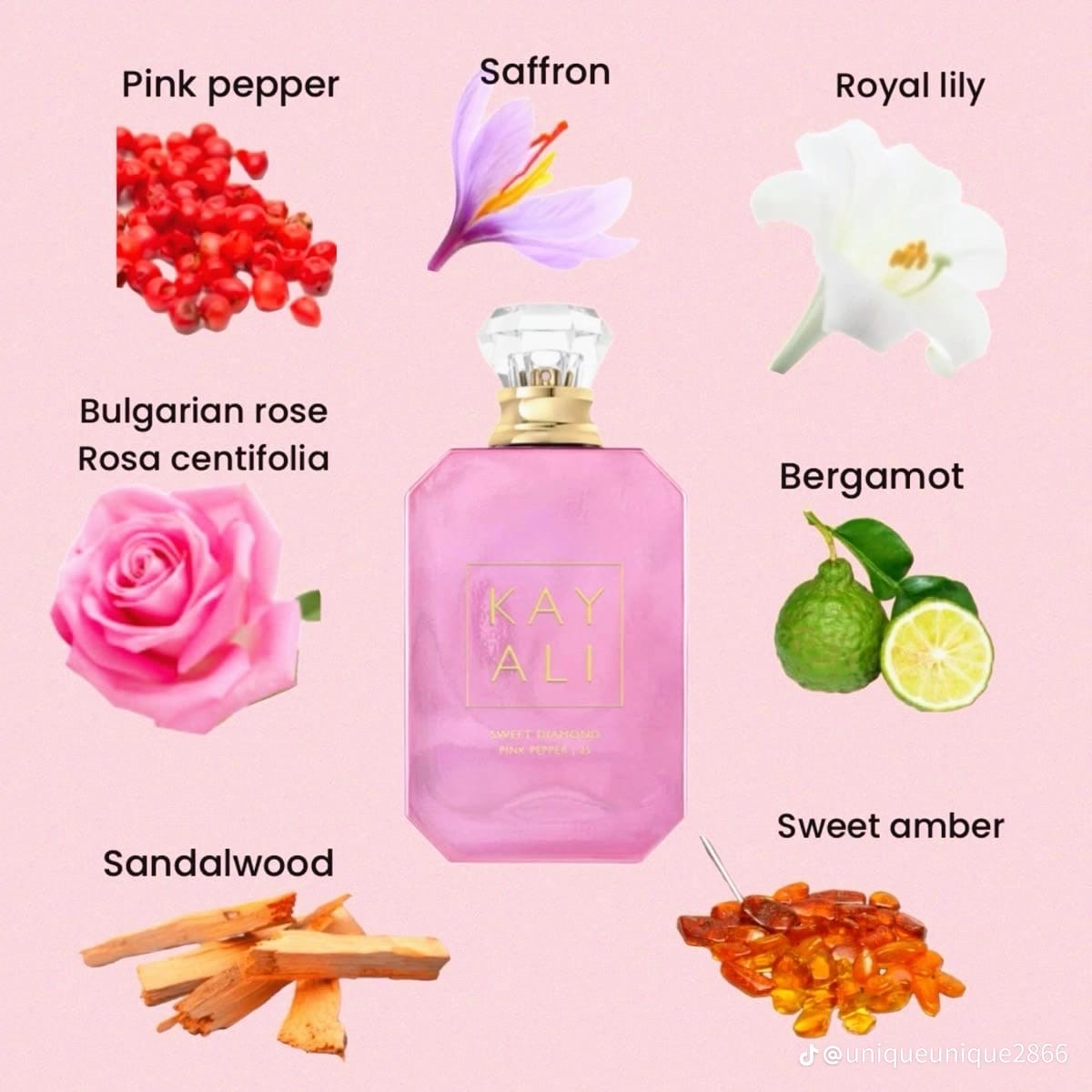 Invite Only Amber | 23 (KAYALI)